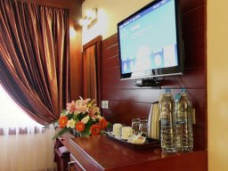 هتل مدینه الرضا